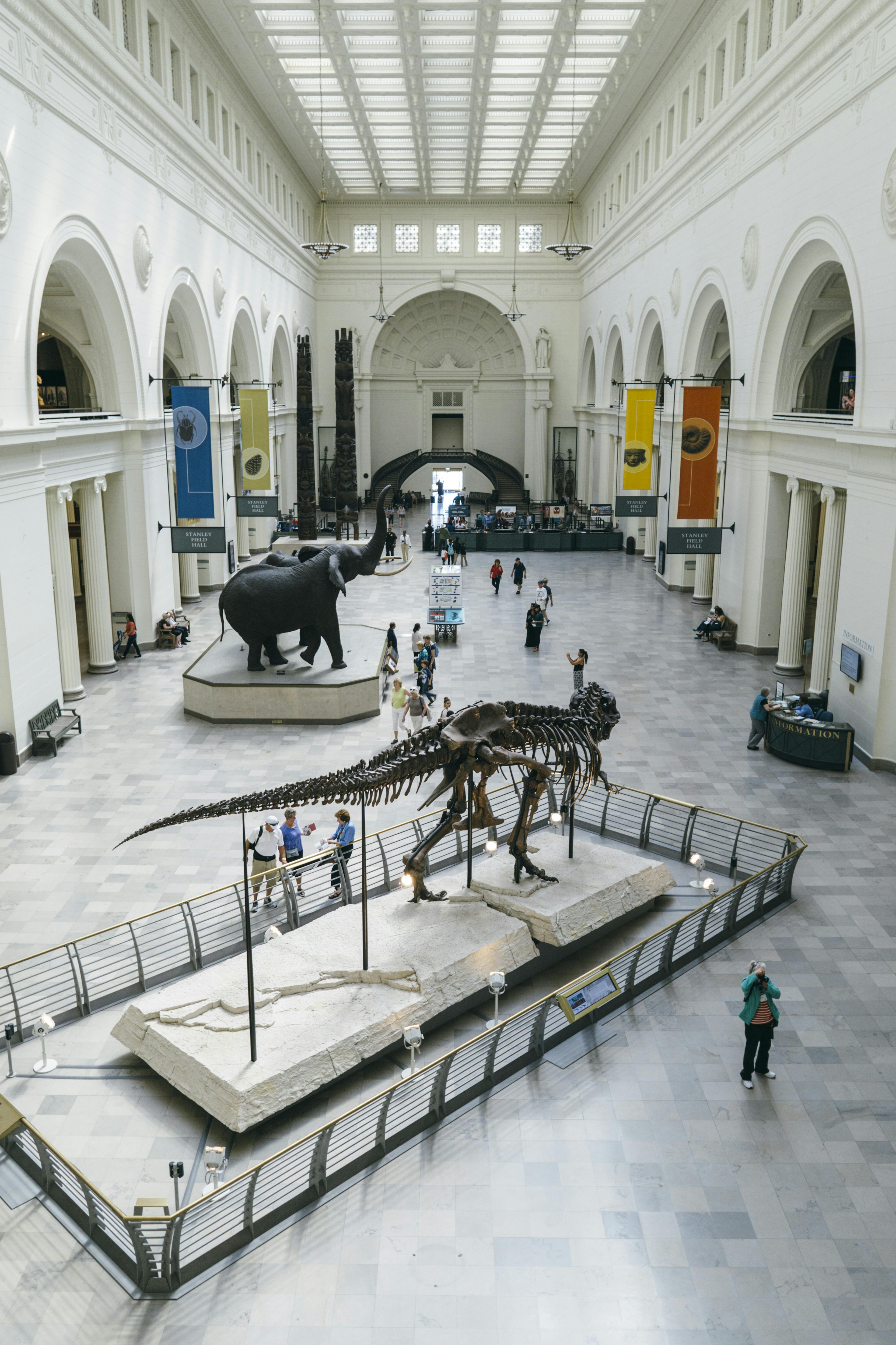The interior of Chicago’s Natural History Museum, looking down on tourists in the atrium. A group of people stand around a Tyrannosaurus Rex skeleton, looking at a map.